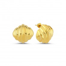 Shell Earrings