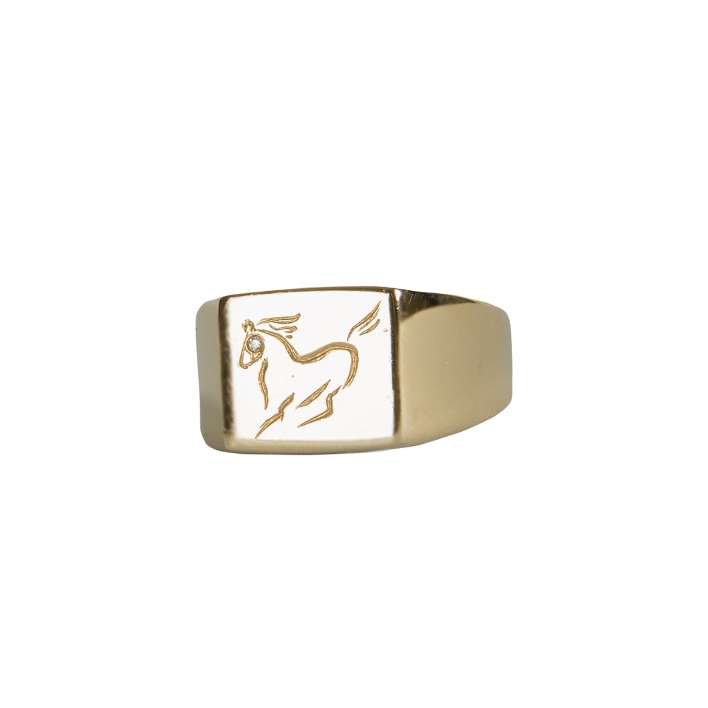 Horse Ring