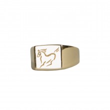 Horse Ring